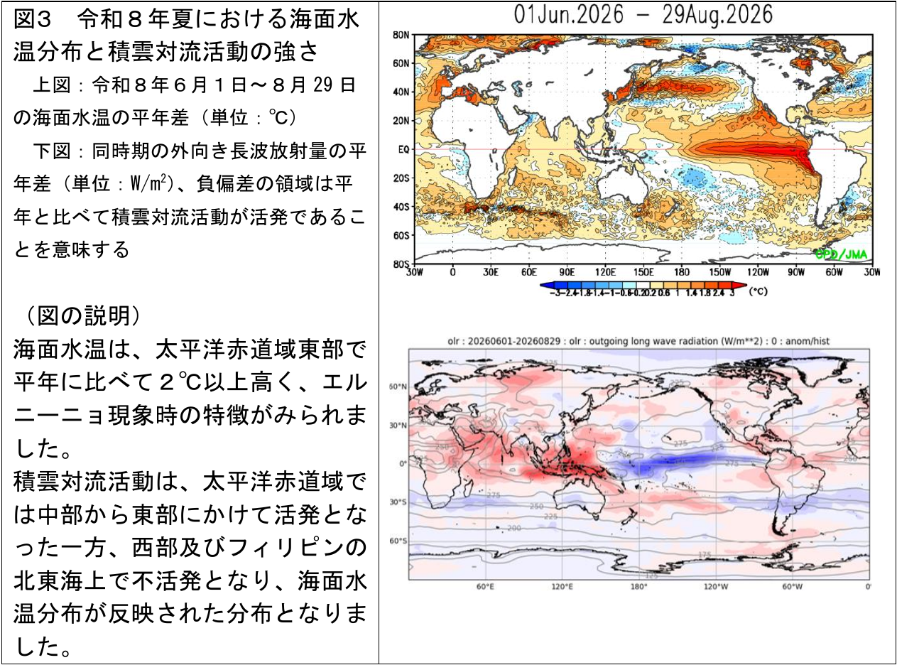 令和8年夏の海面水温分布と積雲対流活動の強さ